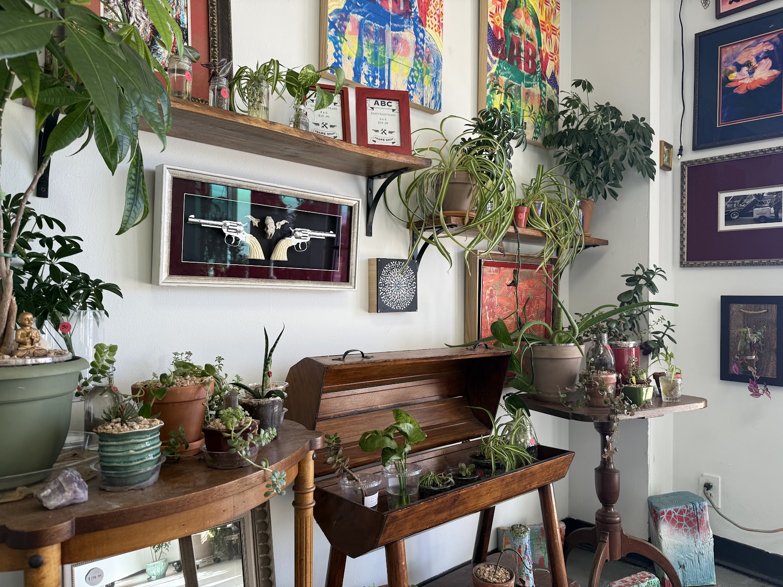Interior display at ABC Custom Framing with framed examples and shop plants